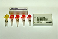 Lambda DNA Set für 20 Versuche