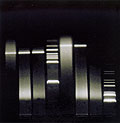 DNA Sortiment zur simulierten Soja-PCR für 5 Versuche